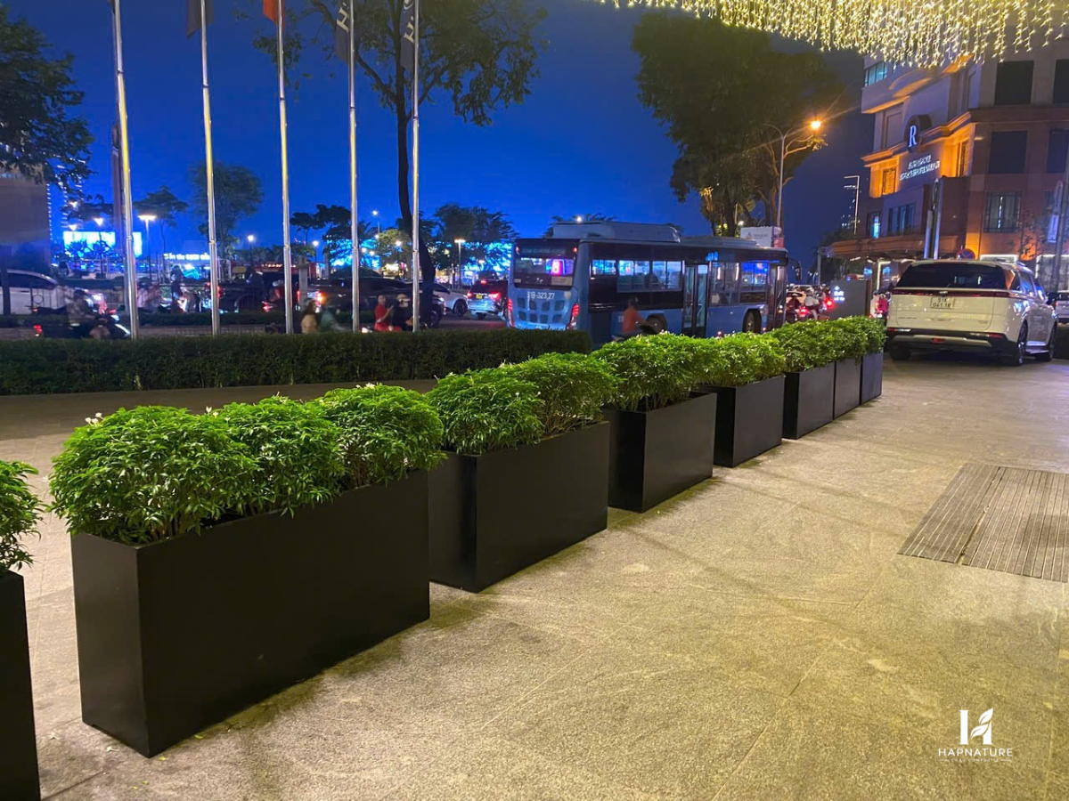 Chậu Composite Chữ Nhật CPHA002 Khung Cảnh