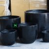 bo-5-chau-composite-trung-cpha009 Bộ 5 Chậu Composite Trứng CPHA009