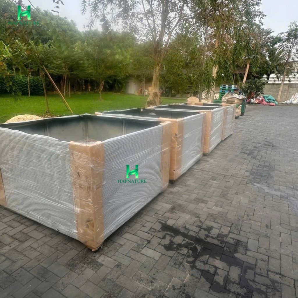 hậu Composite Theo Yêu Cầu HapNature
