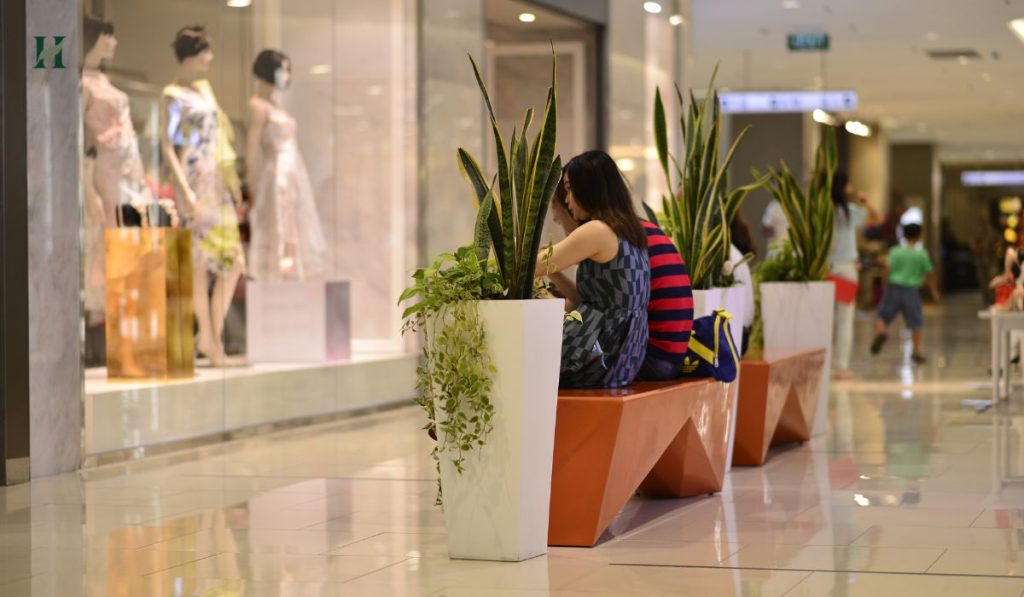 Chậu Composite trồng cây xanh trong trung tâm thương mại