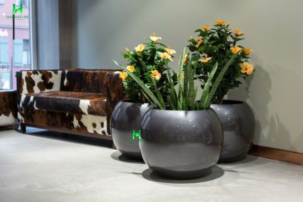 Chậu Composite dáng bát CPHA011 trong không gian