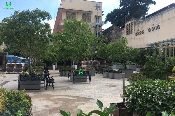 Chậu Composite theo yêu cầu trong không gian tổng thể