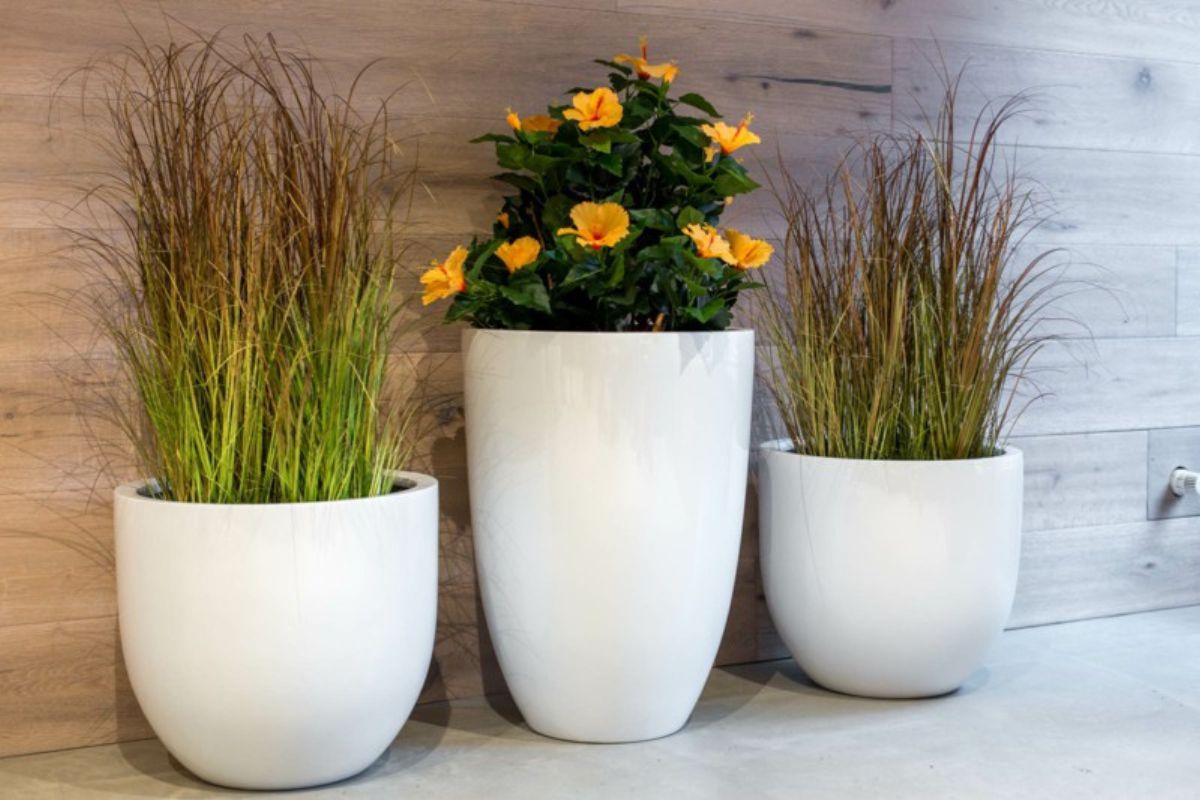Chậu Composite trứng cao CPHA010 trong không gian