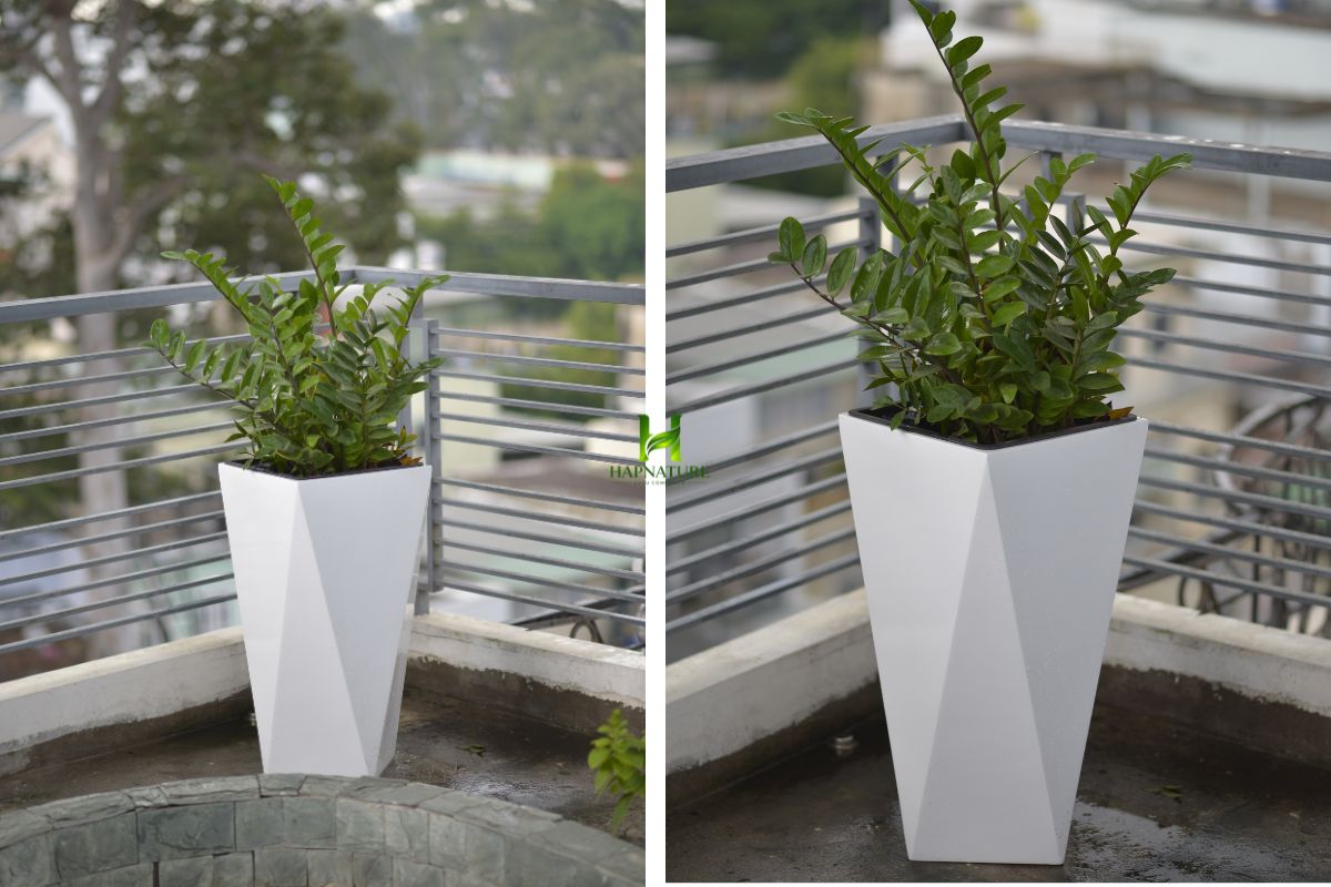 Chậu Composite vuông vát CPHA006 trong không gian